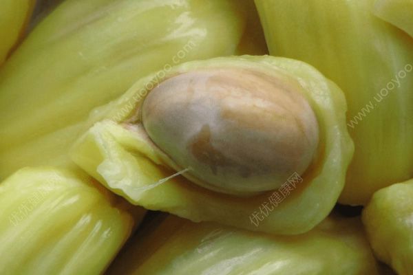 菠萝蜜减肥能吃吗？菠萝蜜减肥的效果好吗？(3)