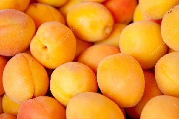 黄桃如何去皮？黄桃营养价值有哪些？(3)