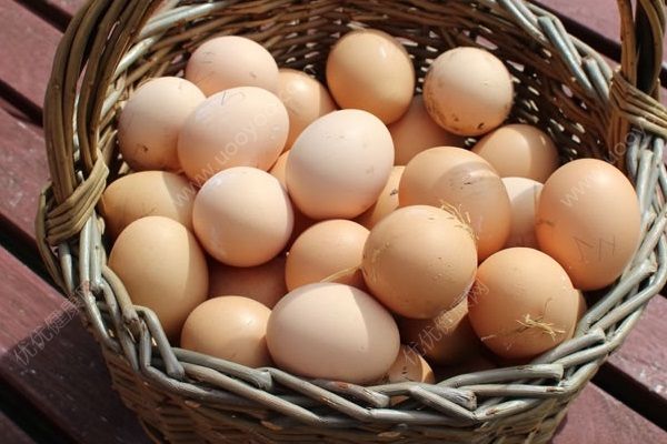 何炅给谢娜买土鸡蛋，产后吃土鸡蛋有什么好处？(3)
