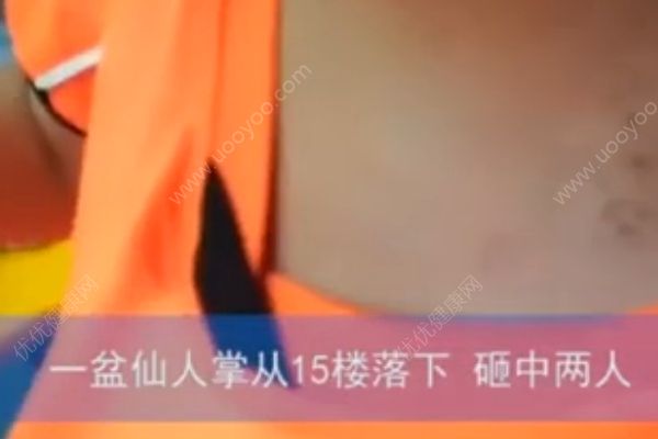 仙人掌从15楼掉落，男孩身上多处被砸成马蜂窝(2)