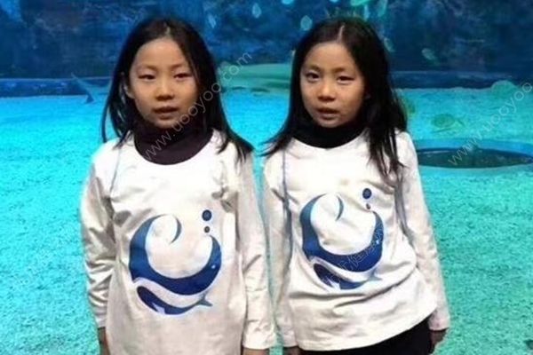 北京双胞胎青岛走失，一人已被发现无生命体征(1)