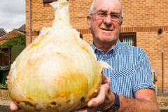 男子培育出9斤重的巨型洋葱，可供30人食用[多图]