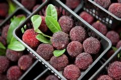 一颗杨梅引发命案后，他中巨额彩票不敢花[多图]