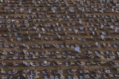 内蒙古800只百灵鸟遭毒杀，雪融后再现4000只死体[多图]