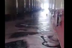 酒庄发生重大泄漏事故，名贵红酒流成河！[多图]