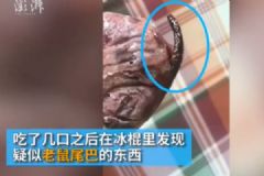 冰棍吃出老鼠尾巴，厂家被索赔十万，自制冰棍方法[多图]