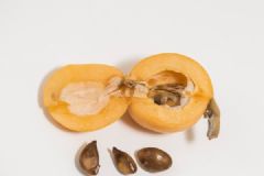 枇杷的核可以吃吗？吃枇杷果核有哪些好处？[多图]