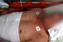 开车时遭蜂群突袭，男子为救妻儿只身引开蜜蜂[多图]