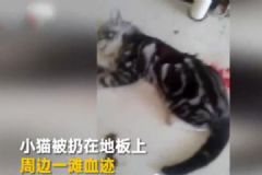 男子虐杀女友小猫逼其复合后续：当晚被人肉遭暴打[多图]